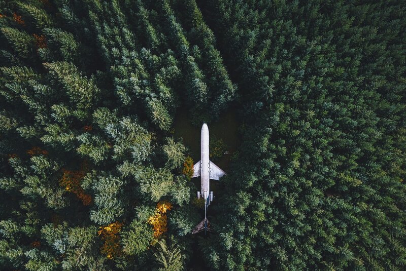 Airplane in Forest