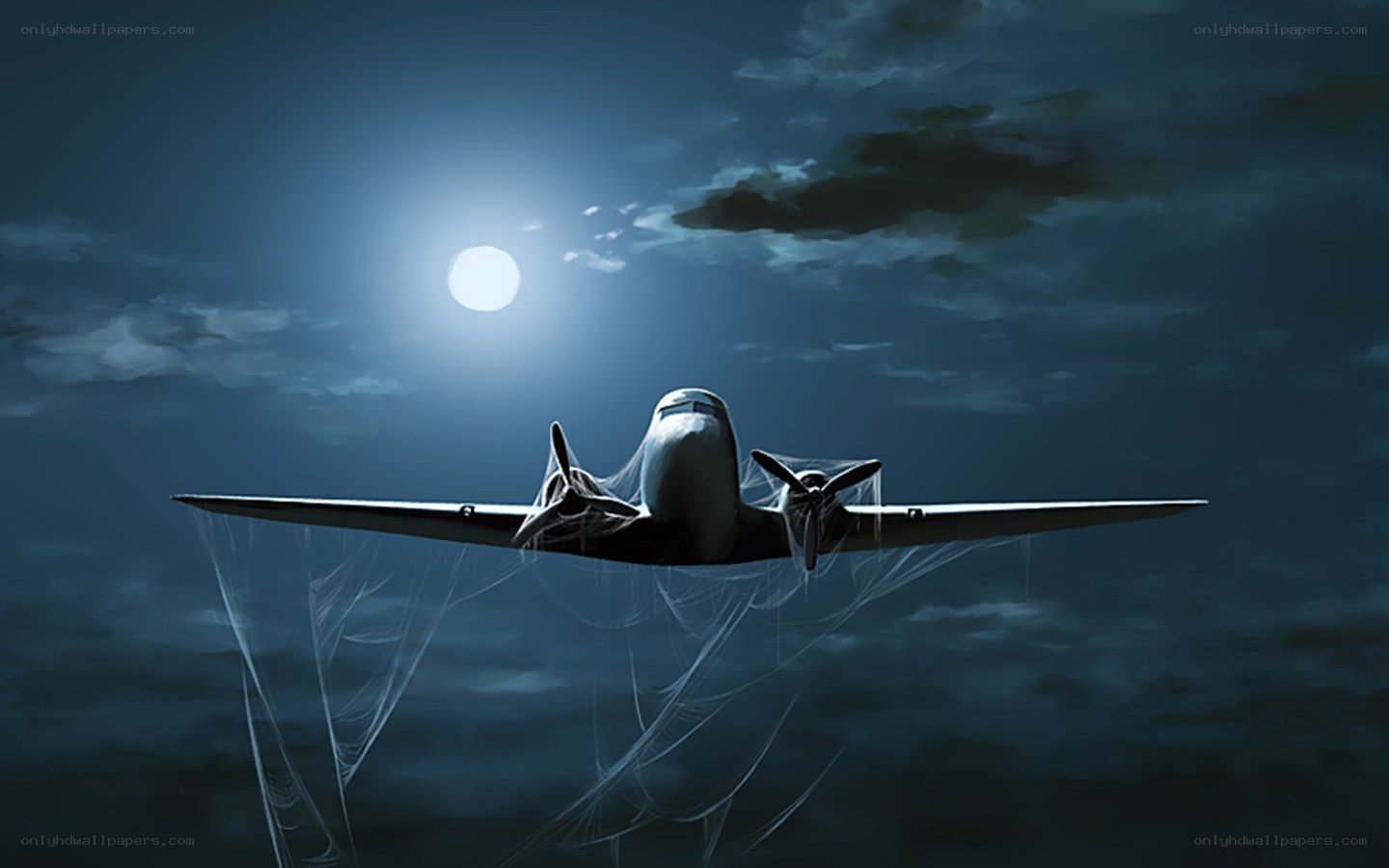 Airplane in moonlight