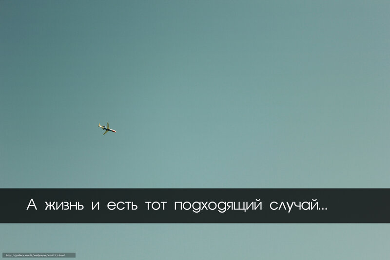 Airplane in the sky