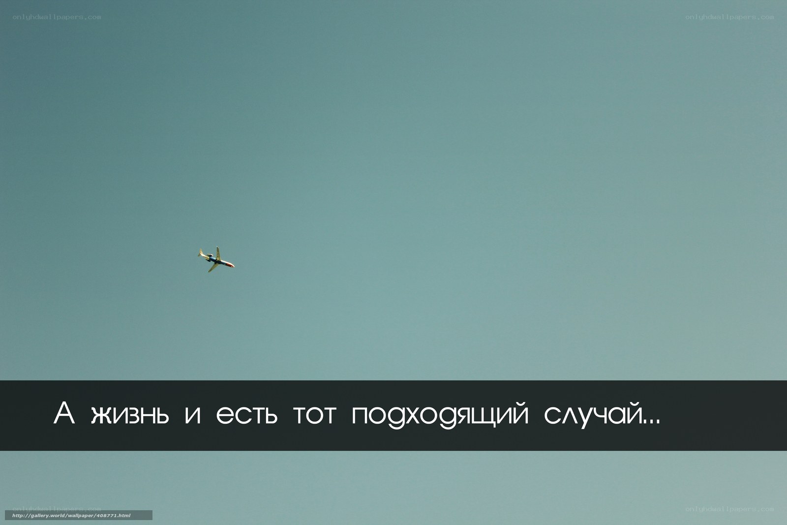 Airplane in the sky