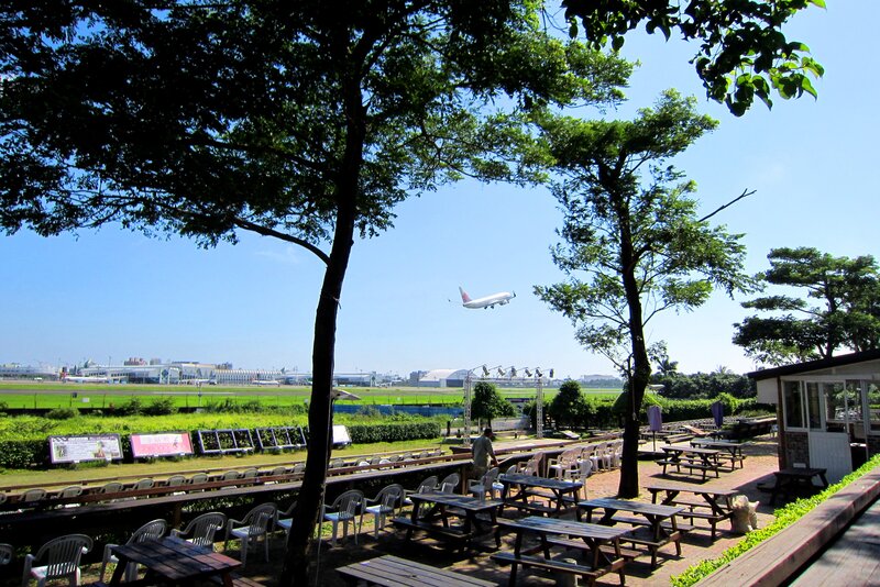 Airplane Landing at Airport