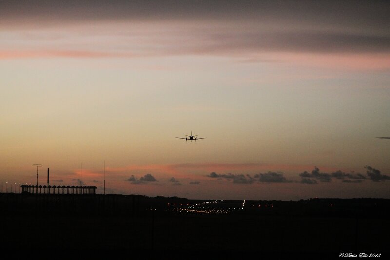 Airplane Landing at Dusk — Orange