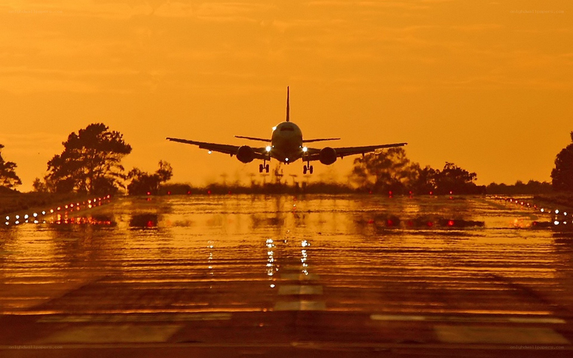 Airplane landing at sunset