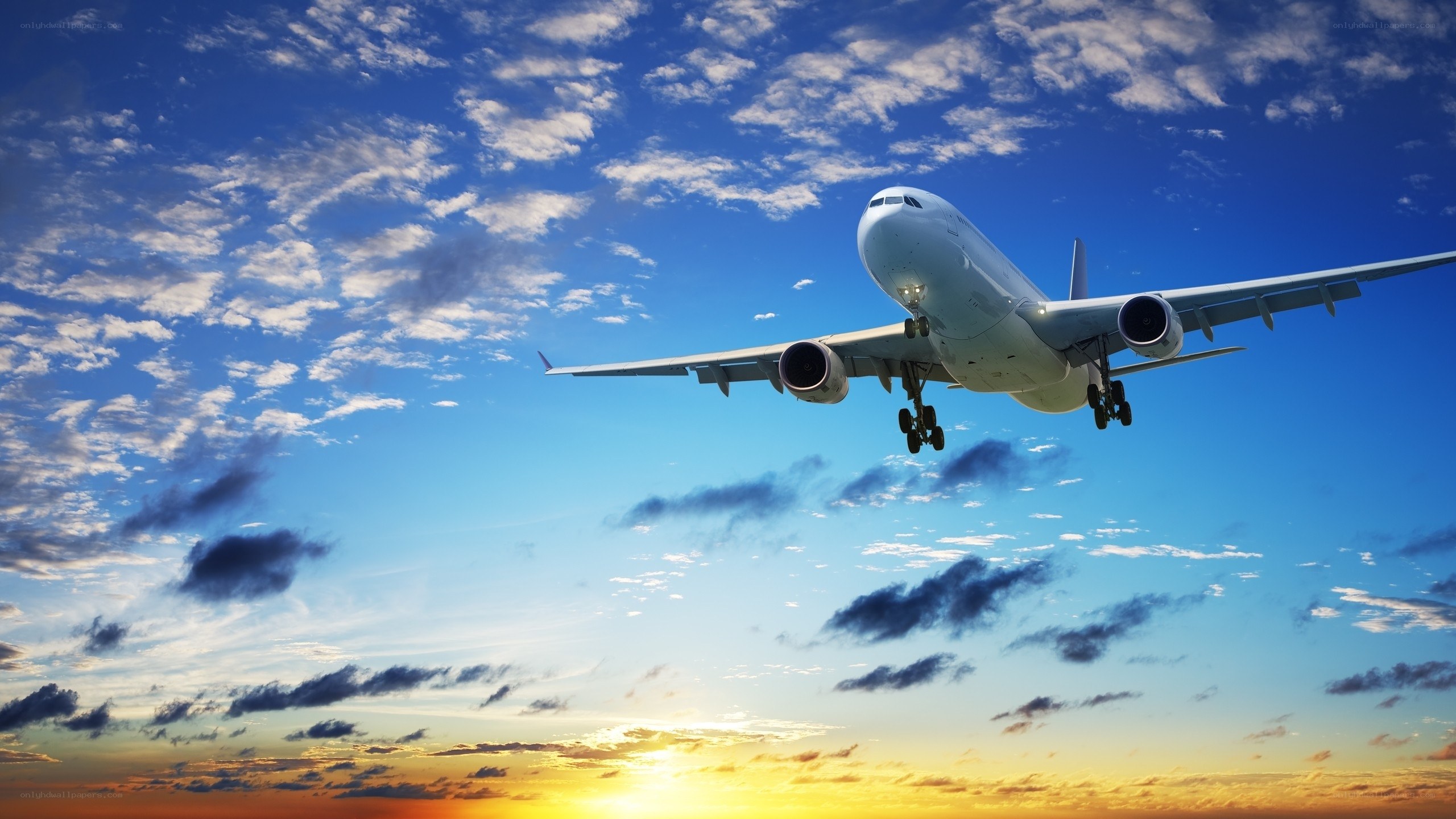 Airplane landing at sunset