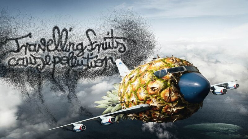 Airplane made of pineapple