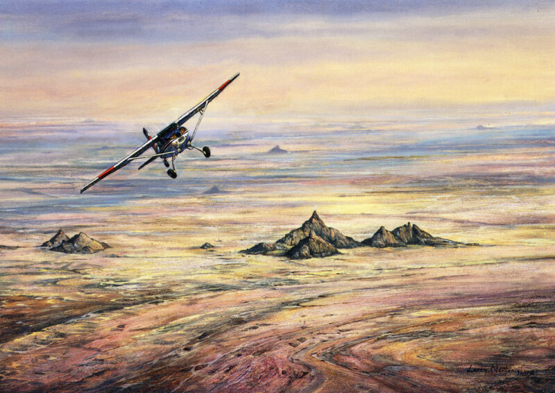 Airplane over Desert