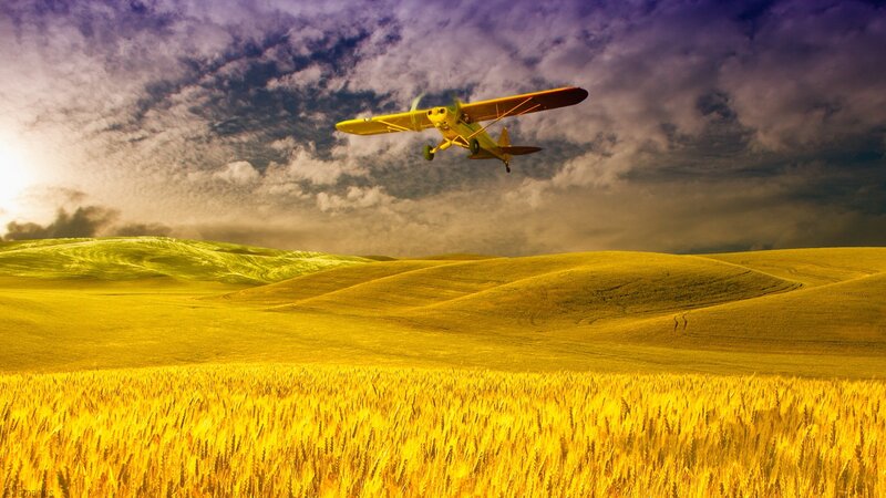 Airplane over golden fields