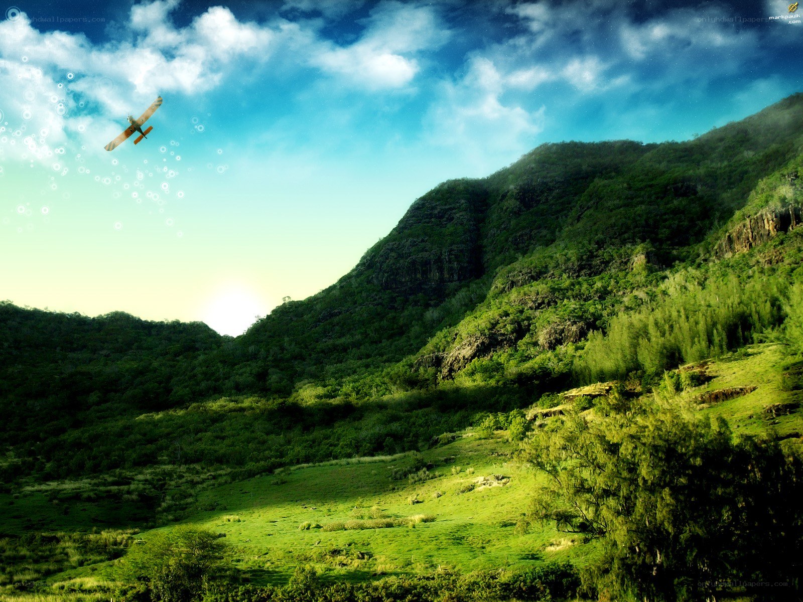 Airplane over green mountains