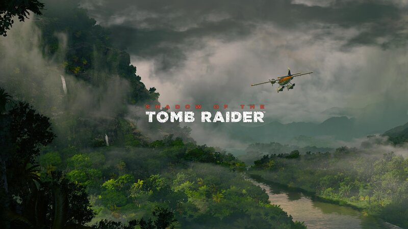 Airplane over Jungle