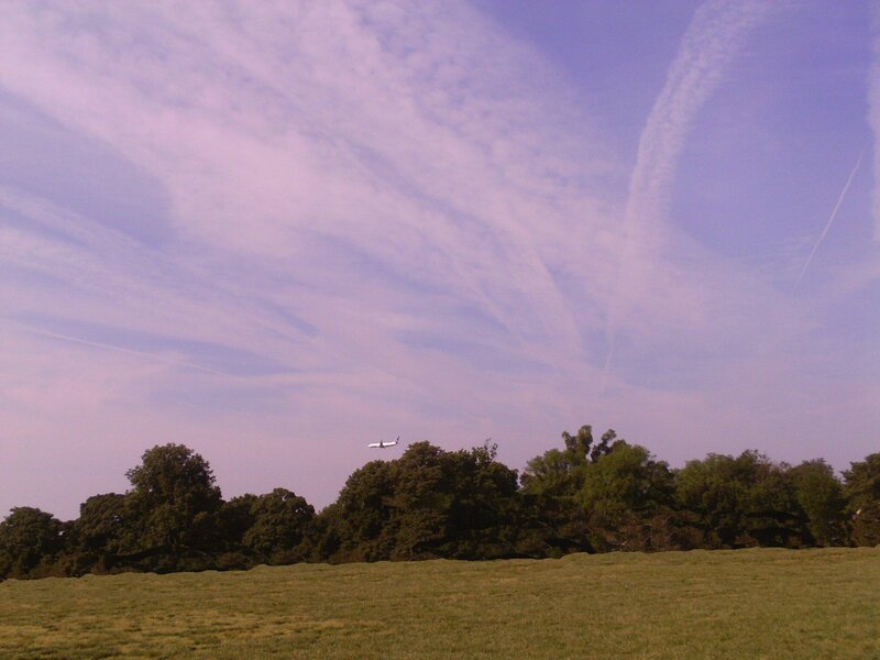Airplane over Trees