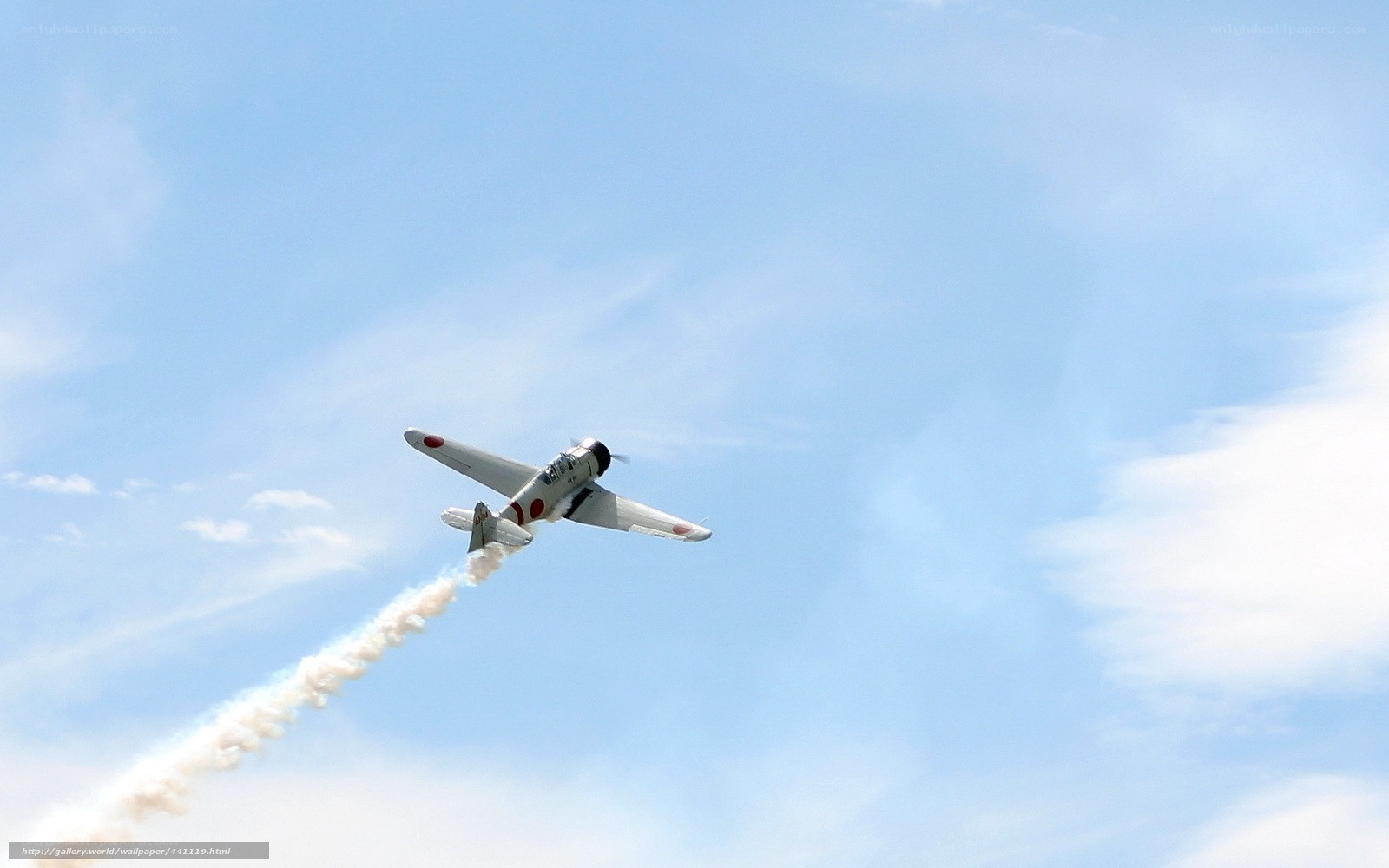 airplane performing aerobatic display