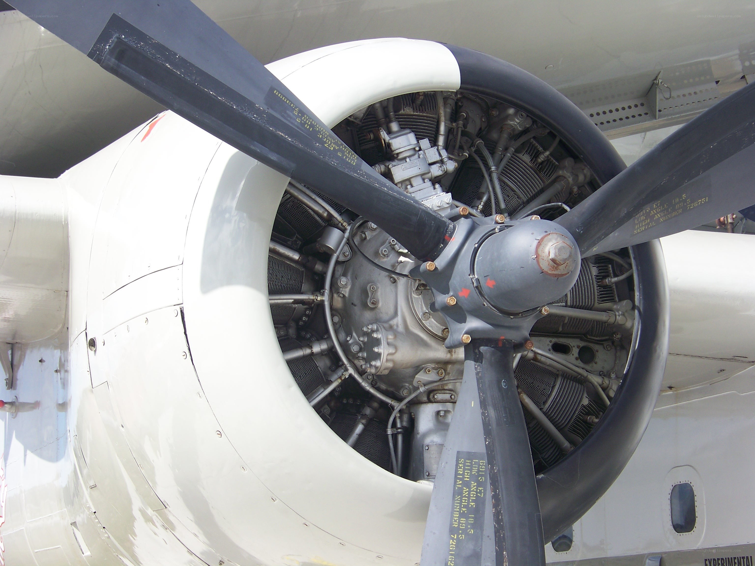 airplane propeller engine