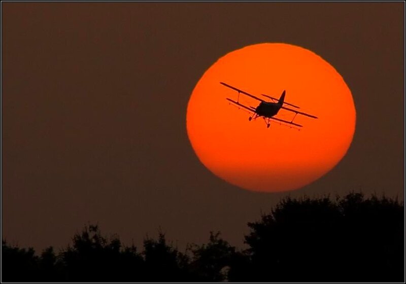 Airplane silhouetted against setting sun