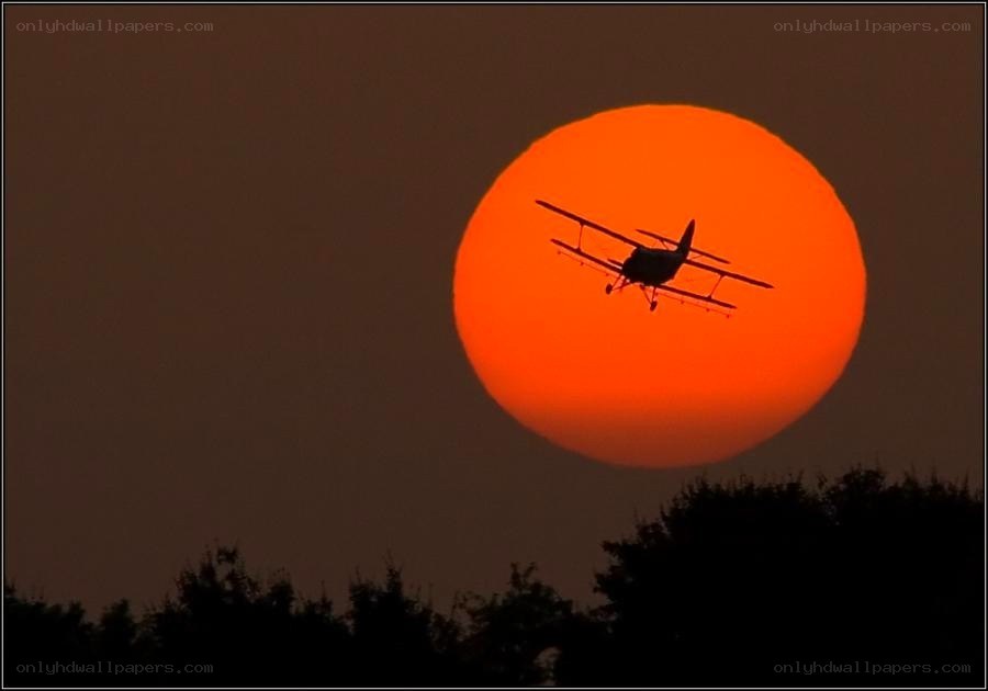 Airplane silhouetted against setting sun