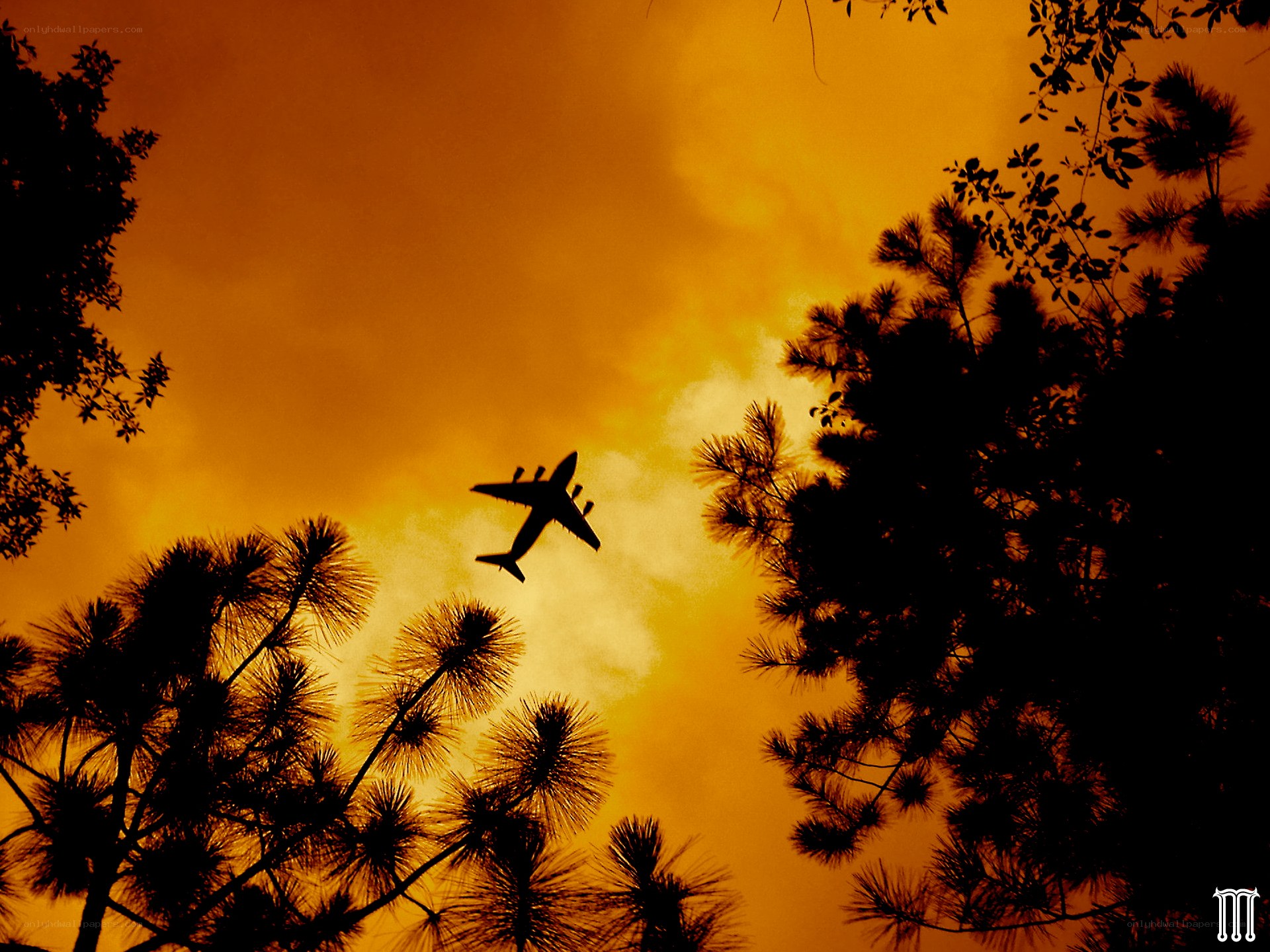 Airplane silhouetted against sunset
