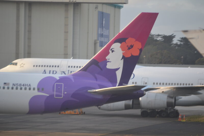 Airplane Tail with Logo