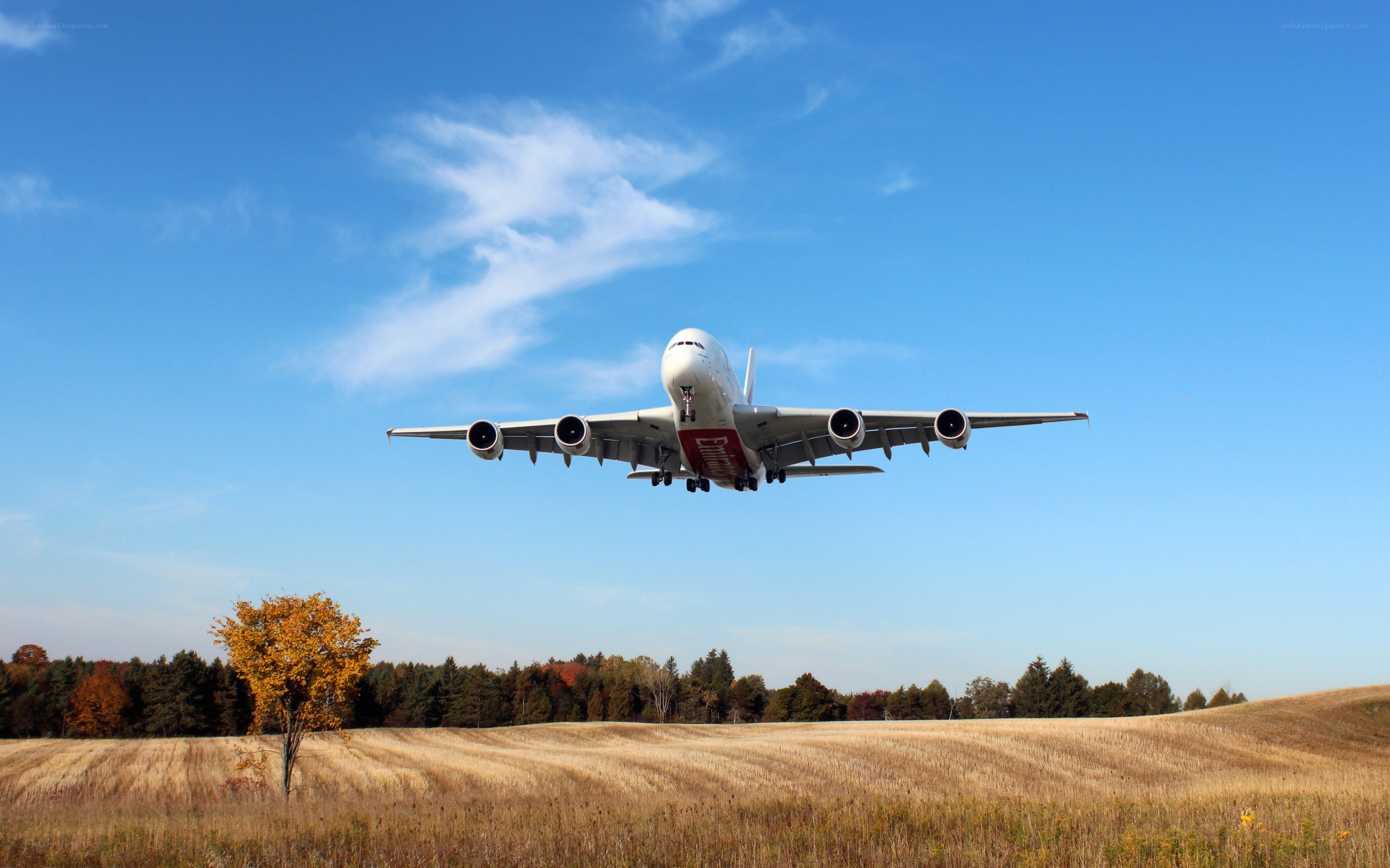 Airplane taking off over field