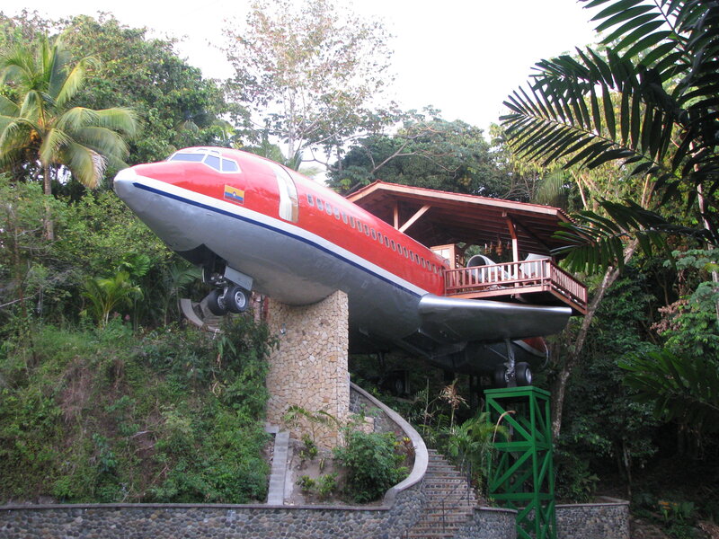 airplane-themed treehouse structure