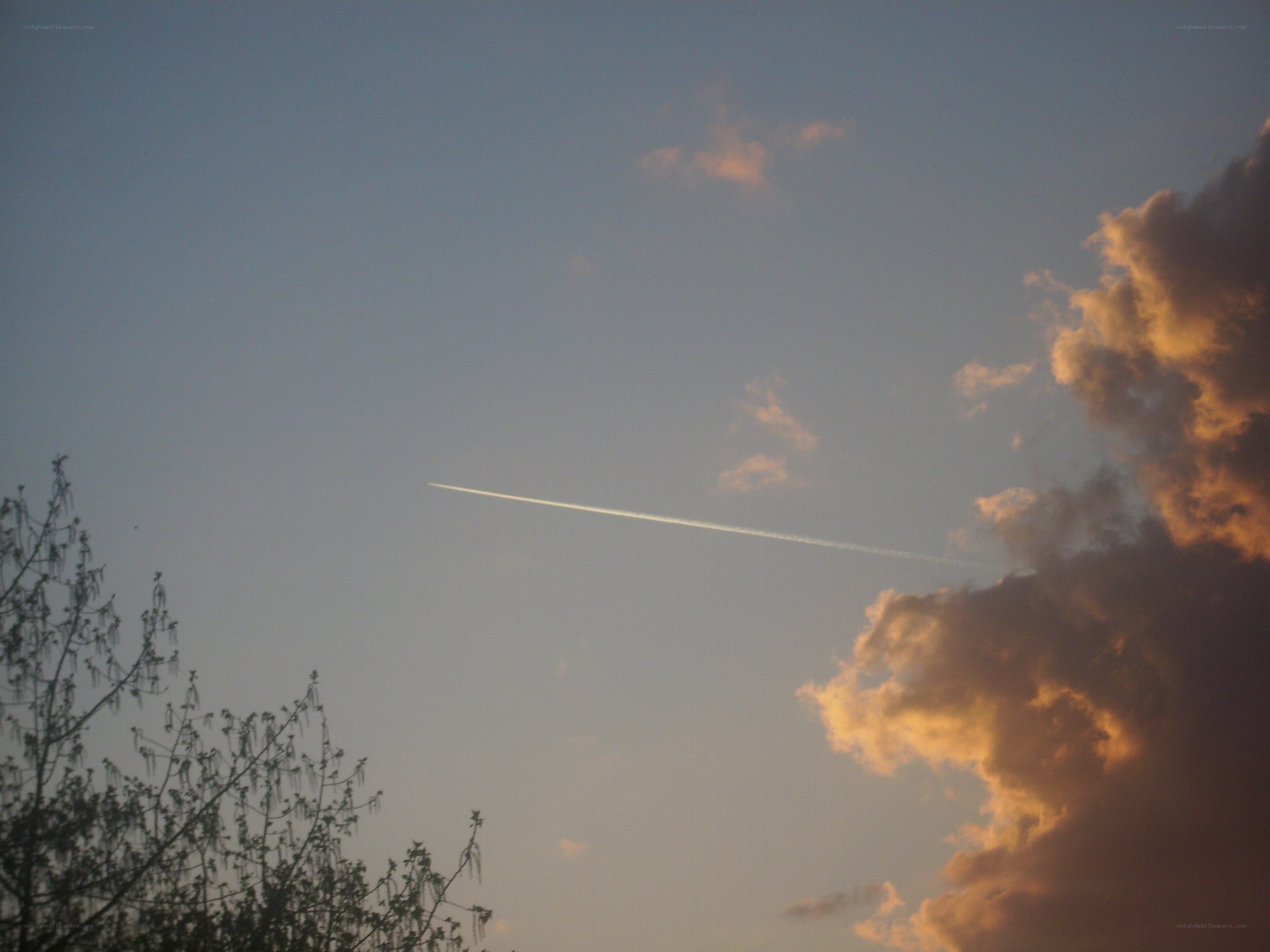Airplane trail at sunset