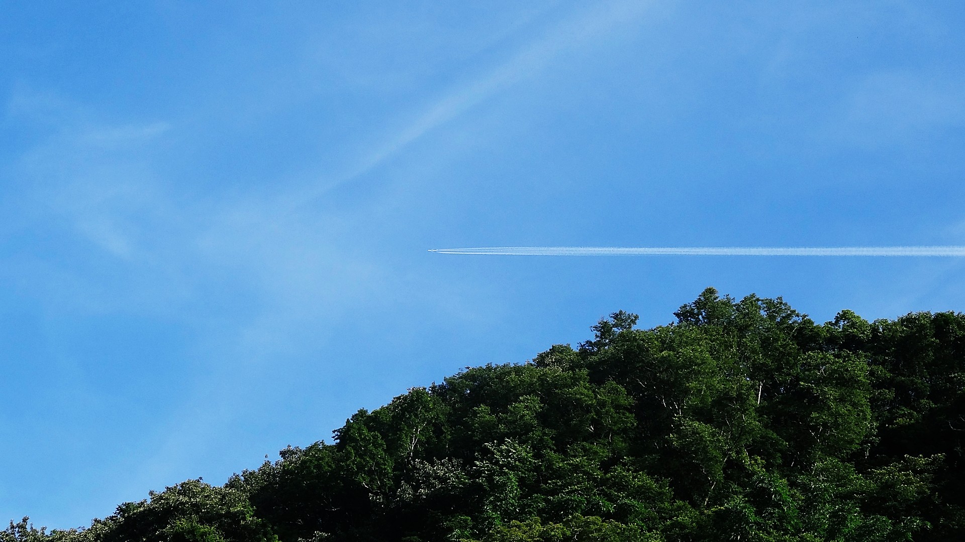Airplane trail over forest