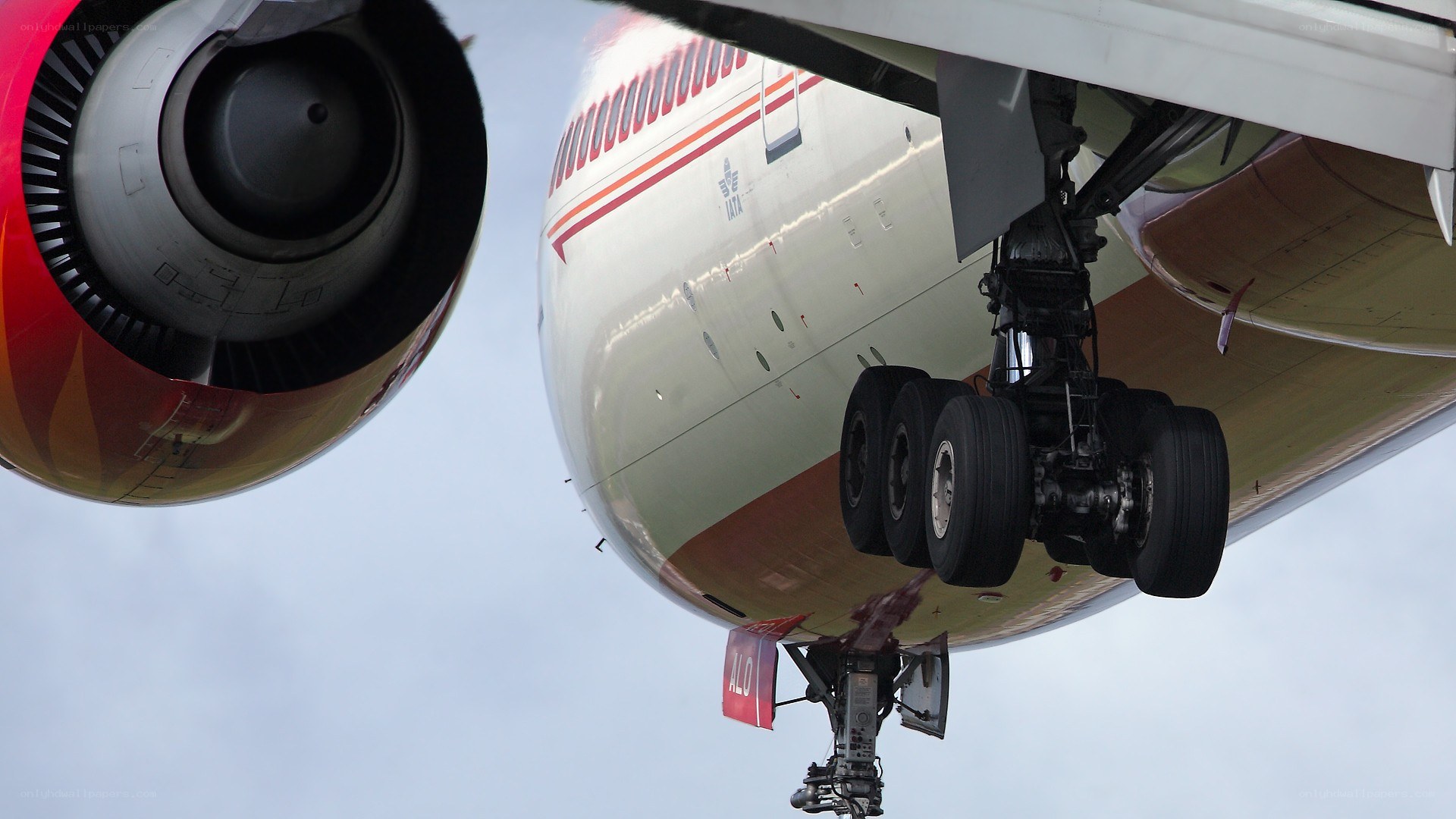 Airplane underbelly and engine