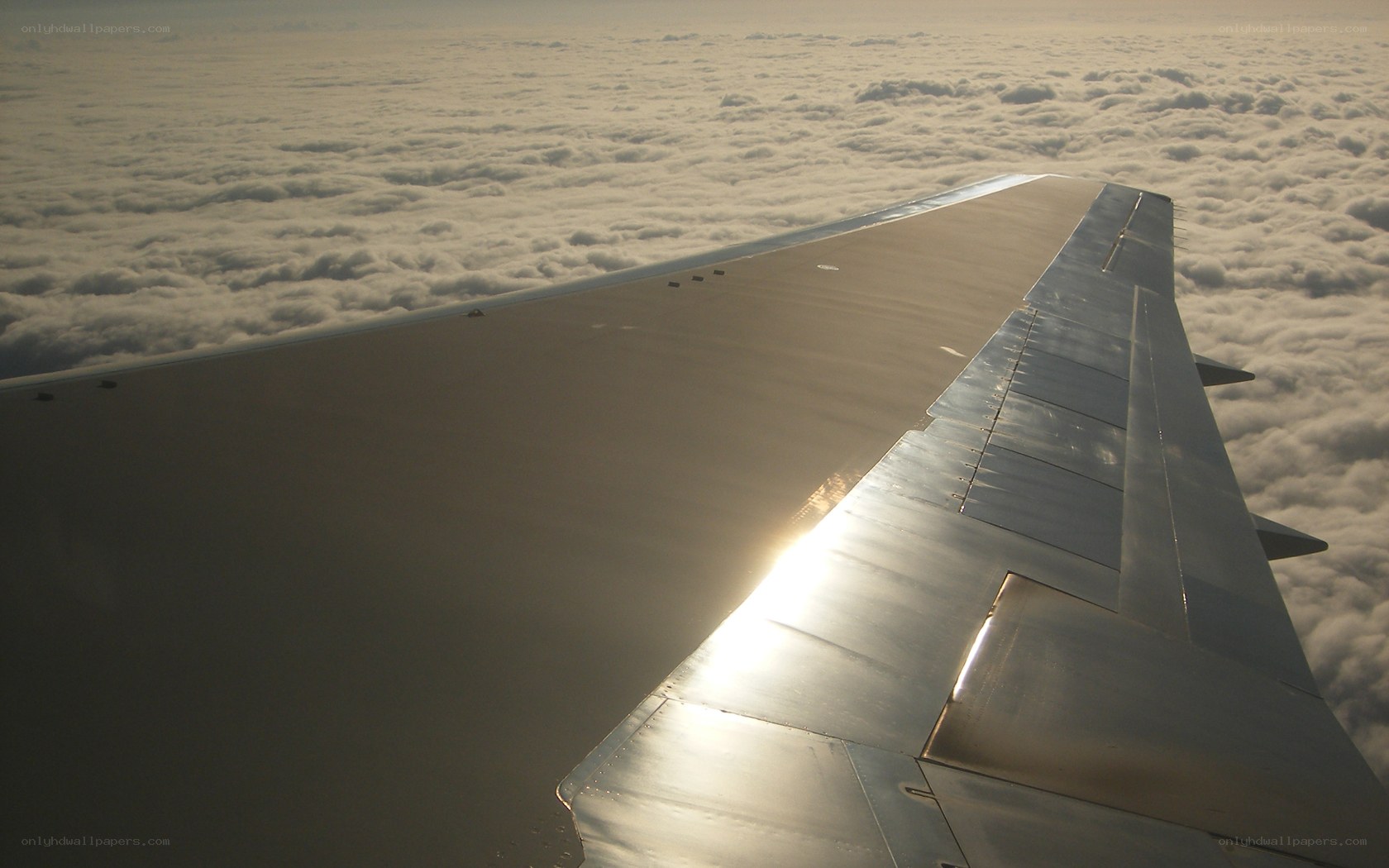 airplane wing above clouds