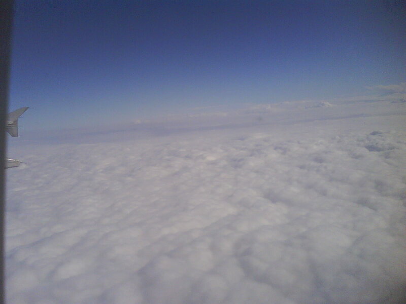 Airplane Wing Above Clouds — Blue, Serene, Afternoon