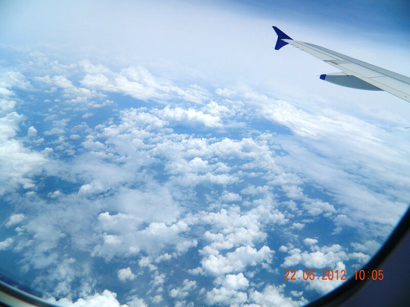 Airplane Wing Above Clouds — Blue, Serene, Morning
