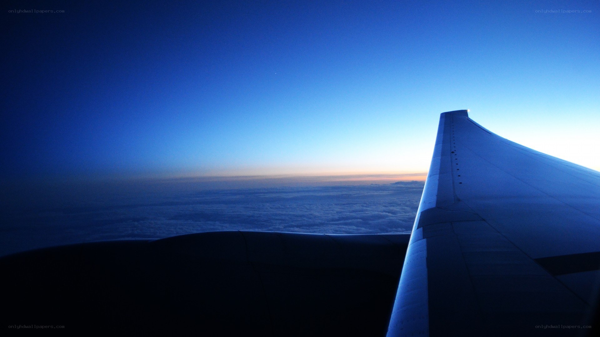 Airplane wing at dawn