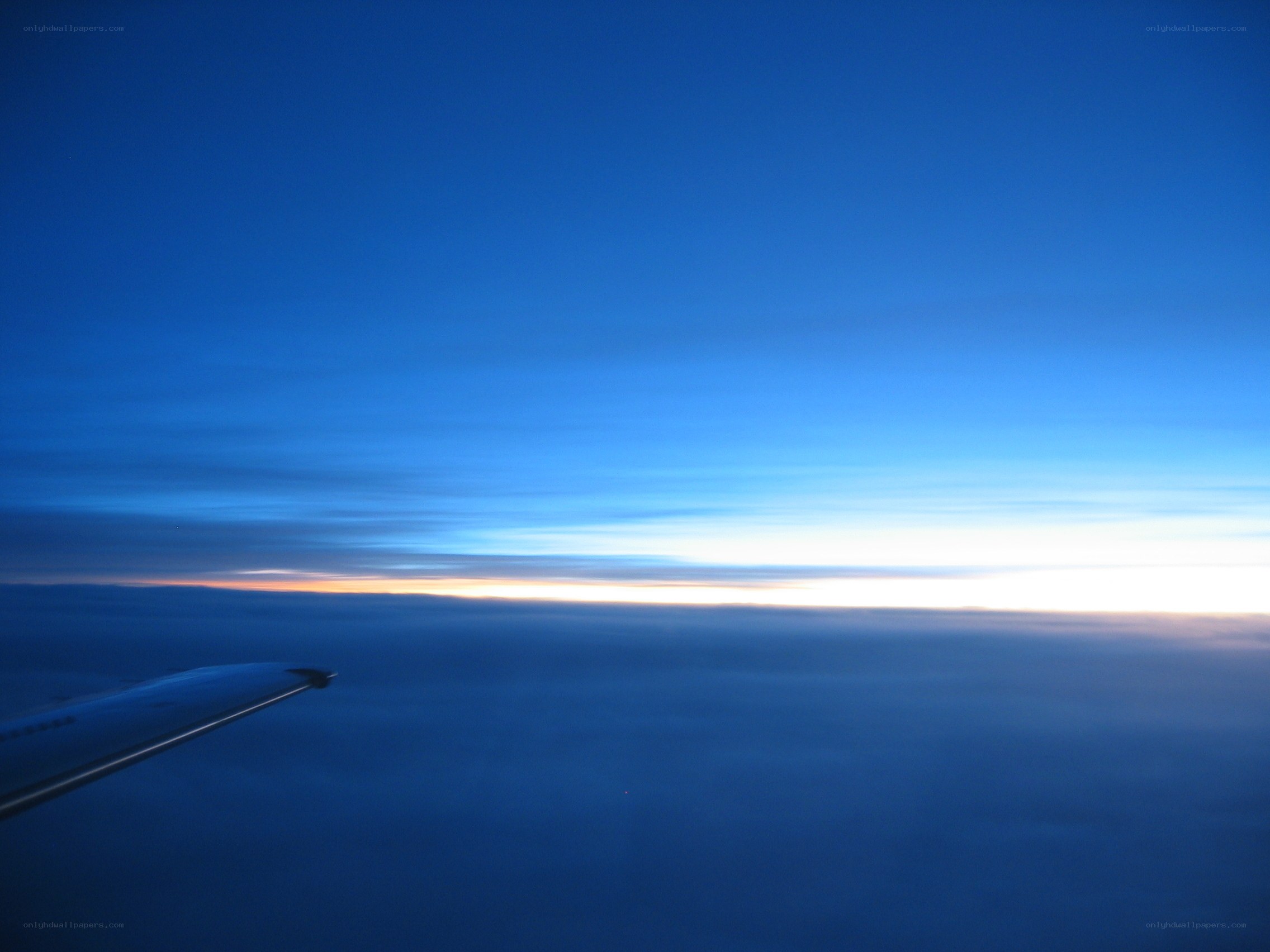 airplane wing at sunrise