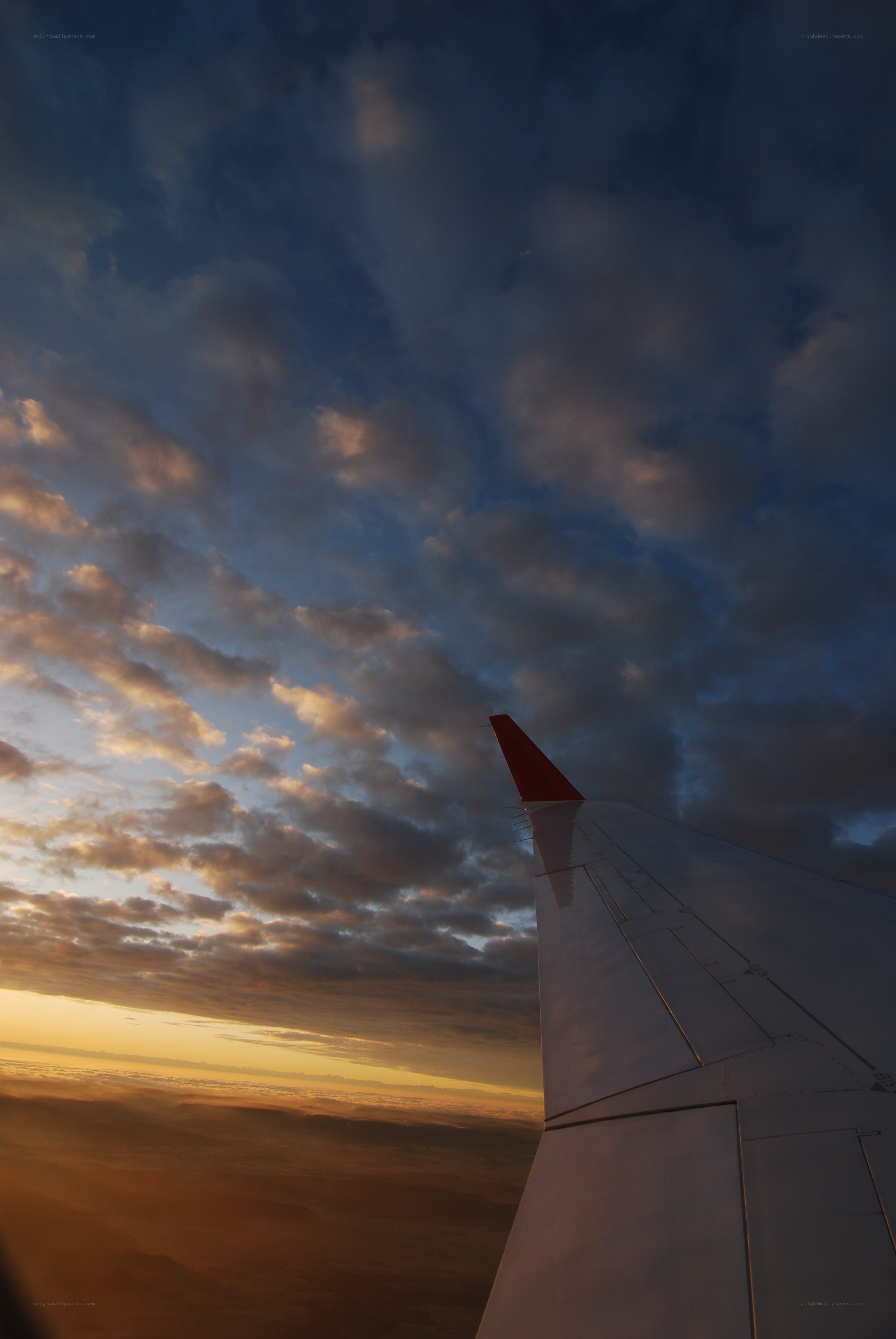 Airplane wing at sunset