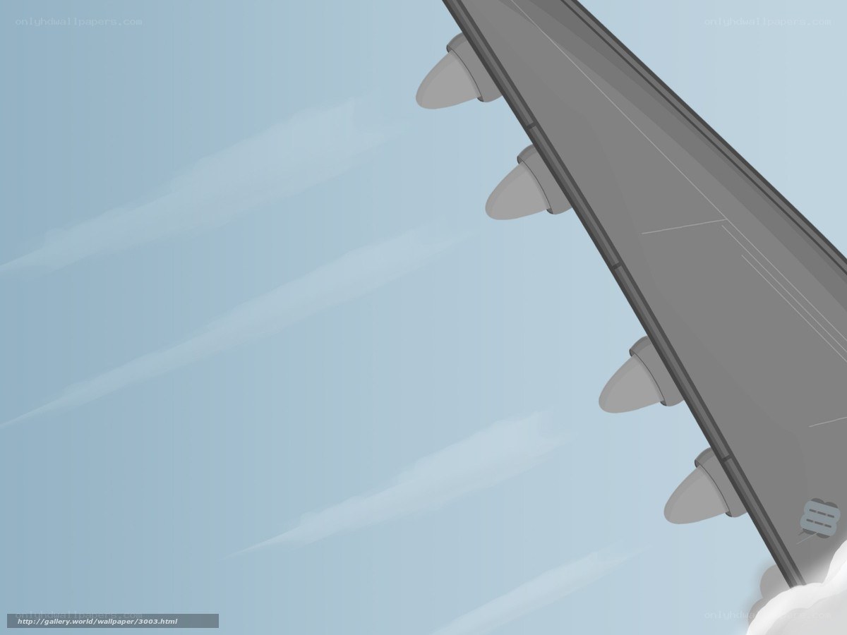 Airplane wing in flight
