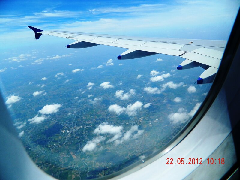 Airplane Wing View — Blue, Serene, Morning