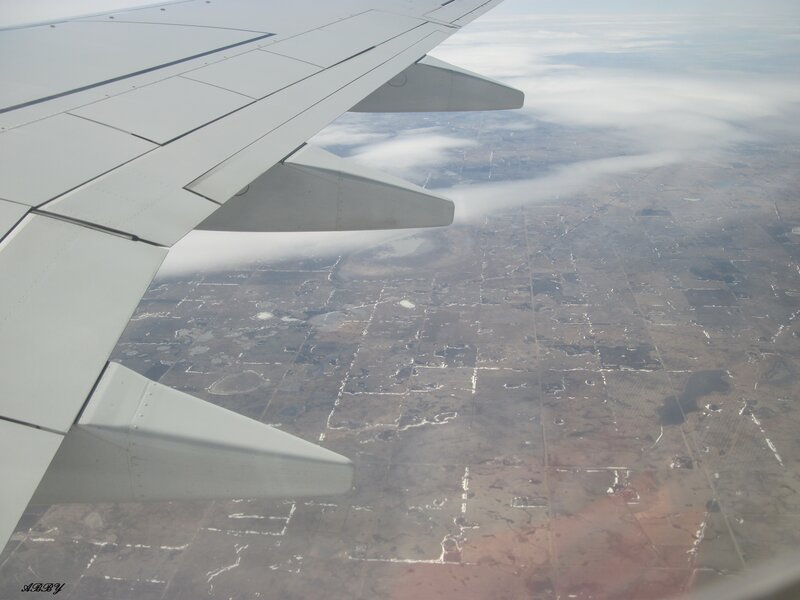 Airplane Wing View — White