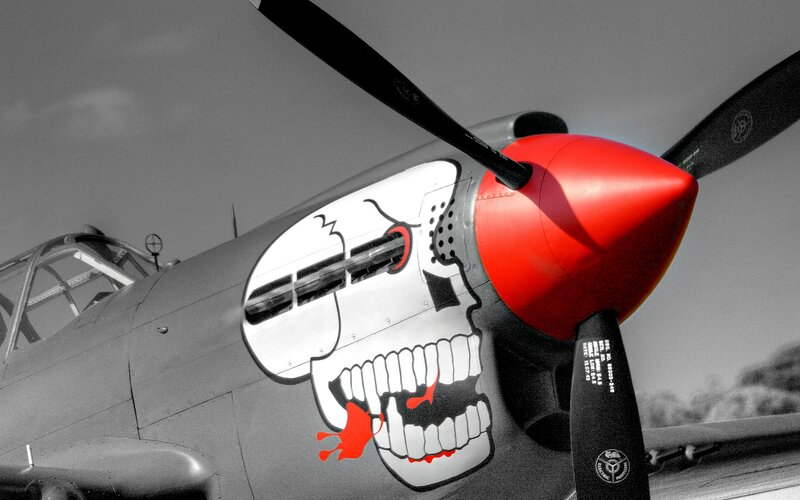 Airplane with Skull Design — Gray