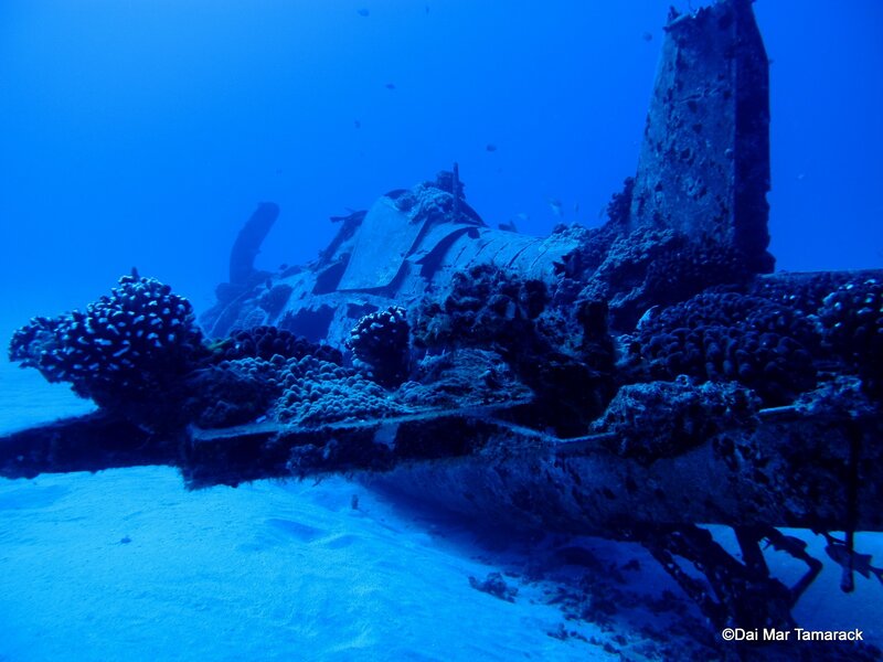 Airplane Wreck on Ocean Floor