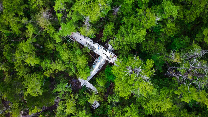 Airplane Wreckage in Forest
