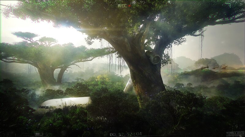 Airplane Wreckage in Jungle