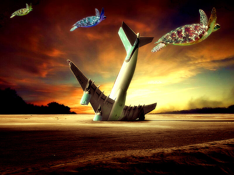 Airplane Wreckage on Beach