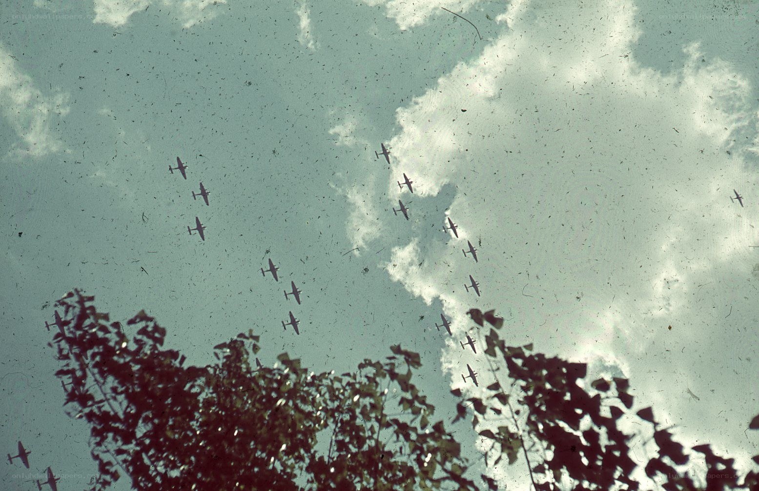 Airplanes flying in formation