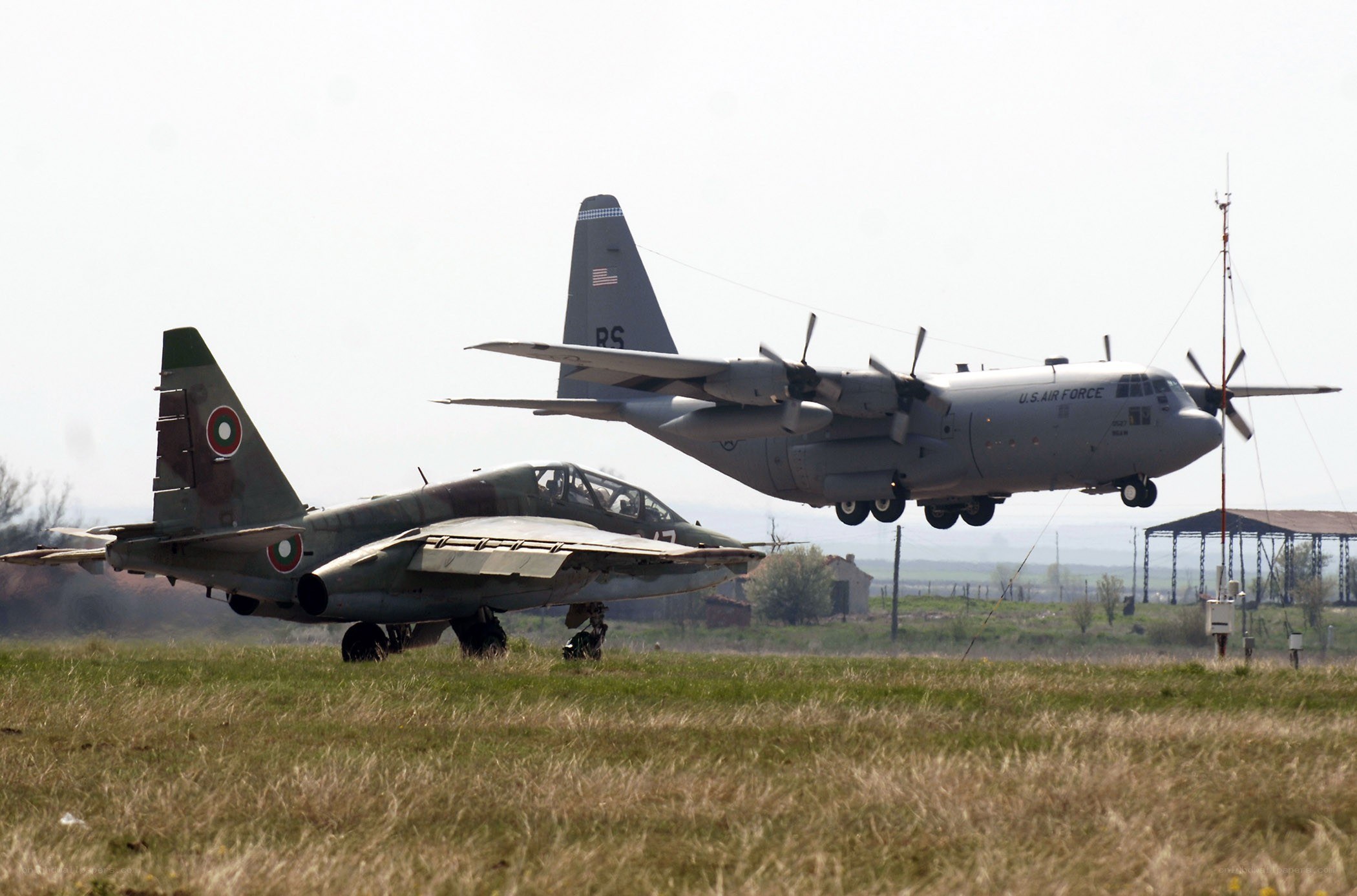 Airplanes on a grassy field