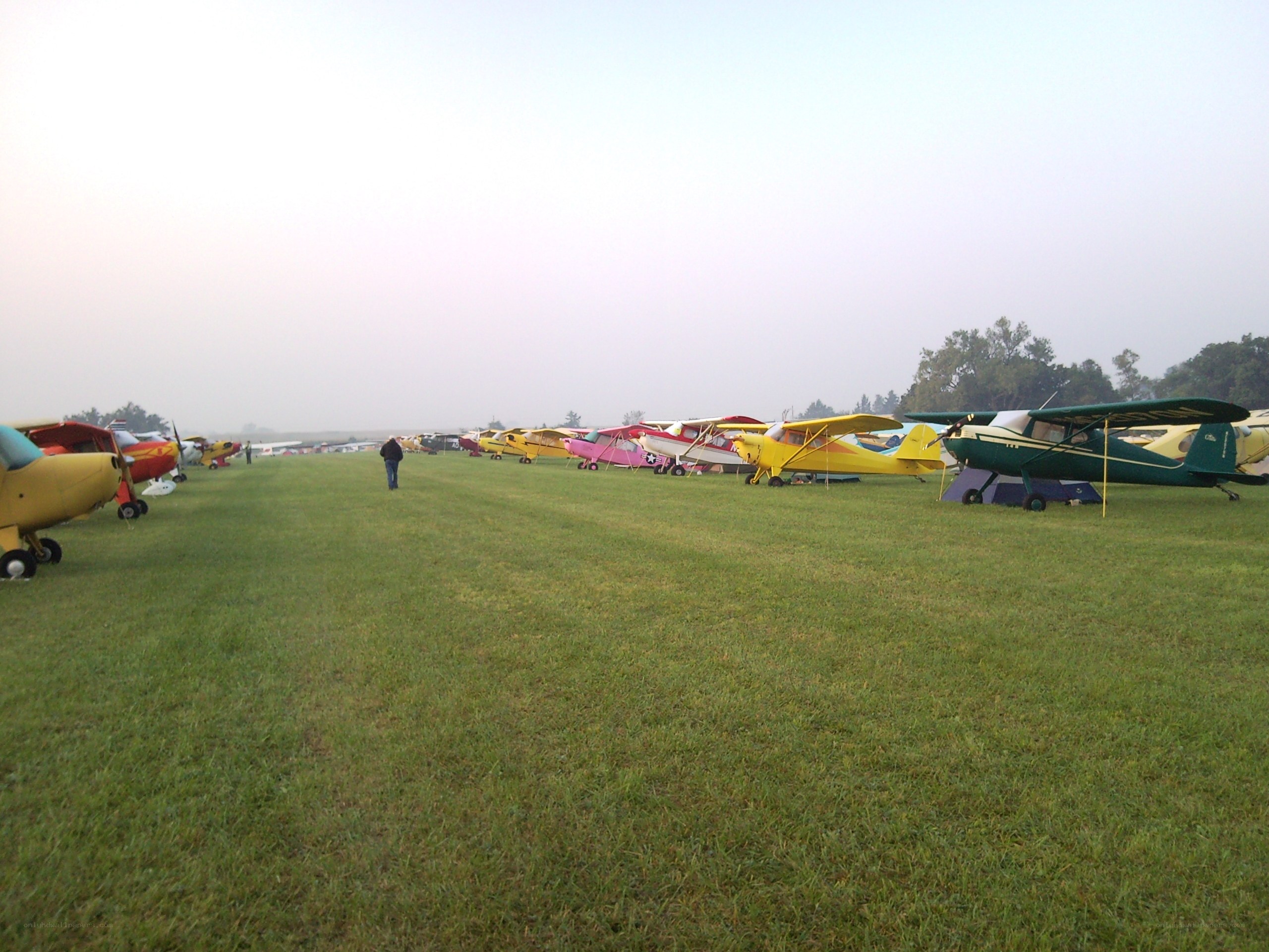 Airplanes on a grassy field