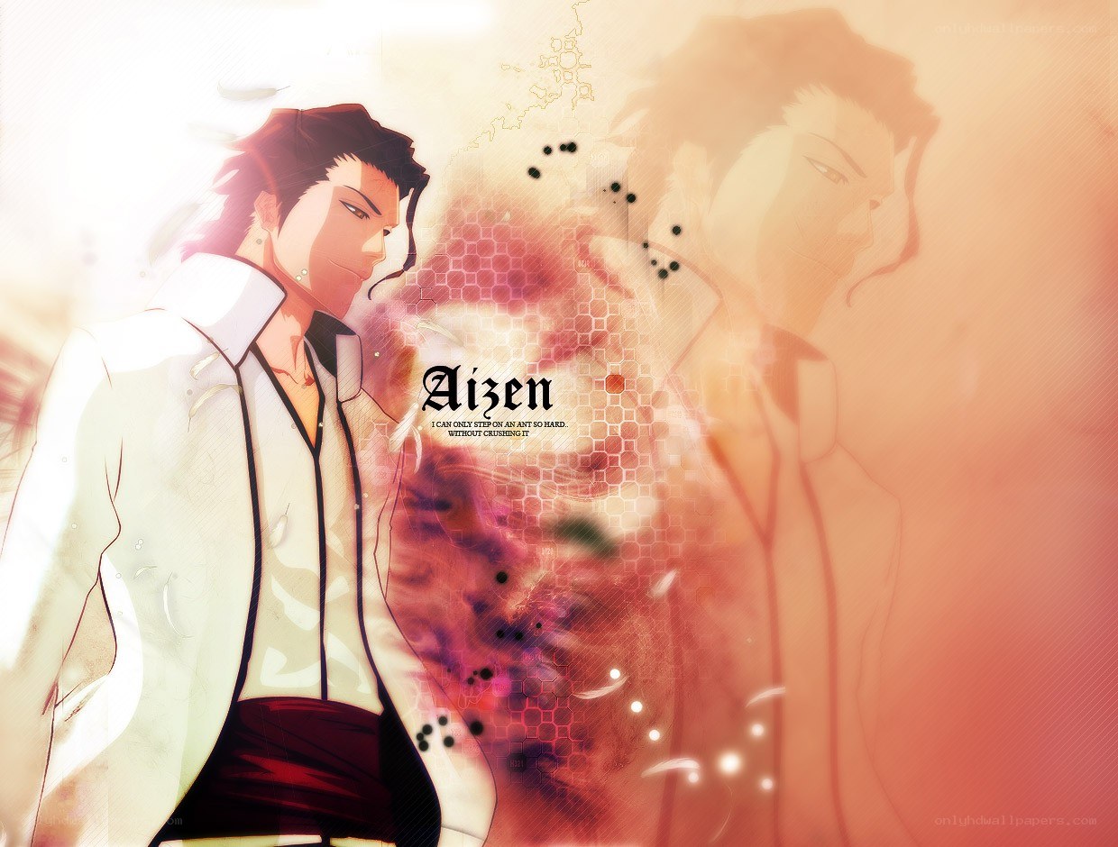 Aizen anime character art