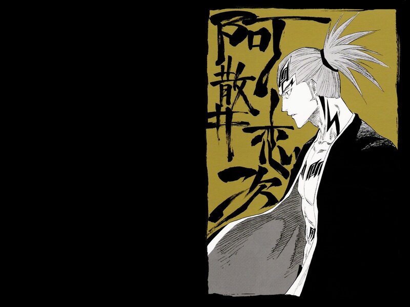 Aizen Shigekuni profile
