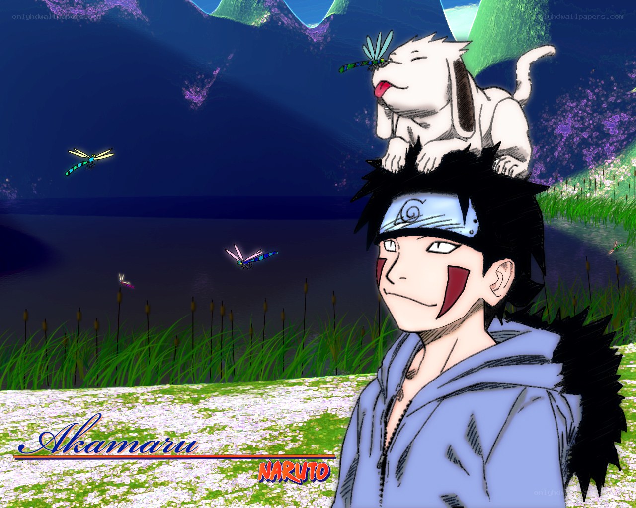 Akamaru and Naruto by lake