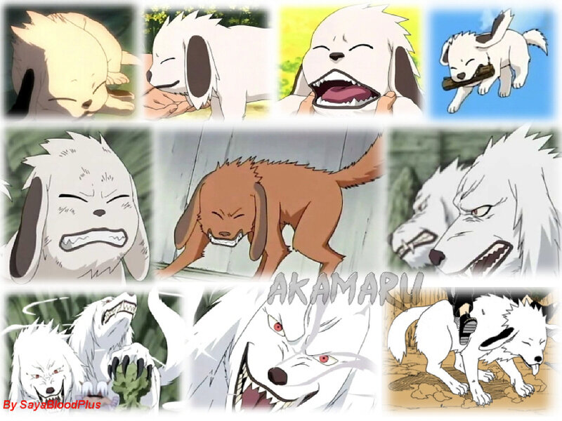 Akamaru character collage