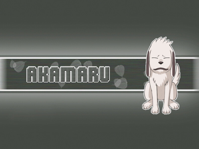 Akamaru character screen