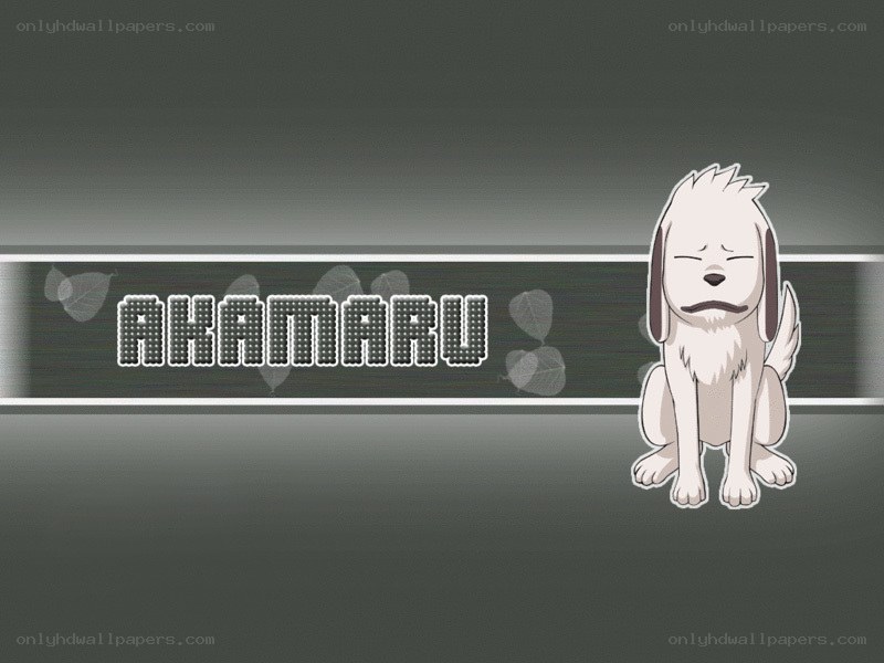 Akamaru character screen