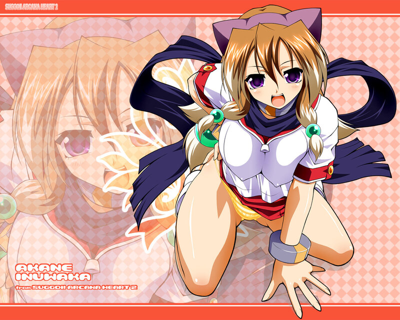 Akane Inuwaka from Suggoi! Arcana Heart 2