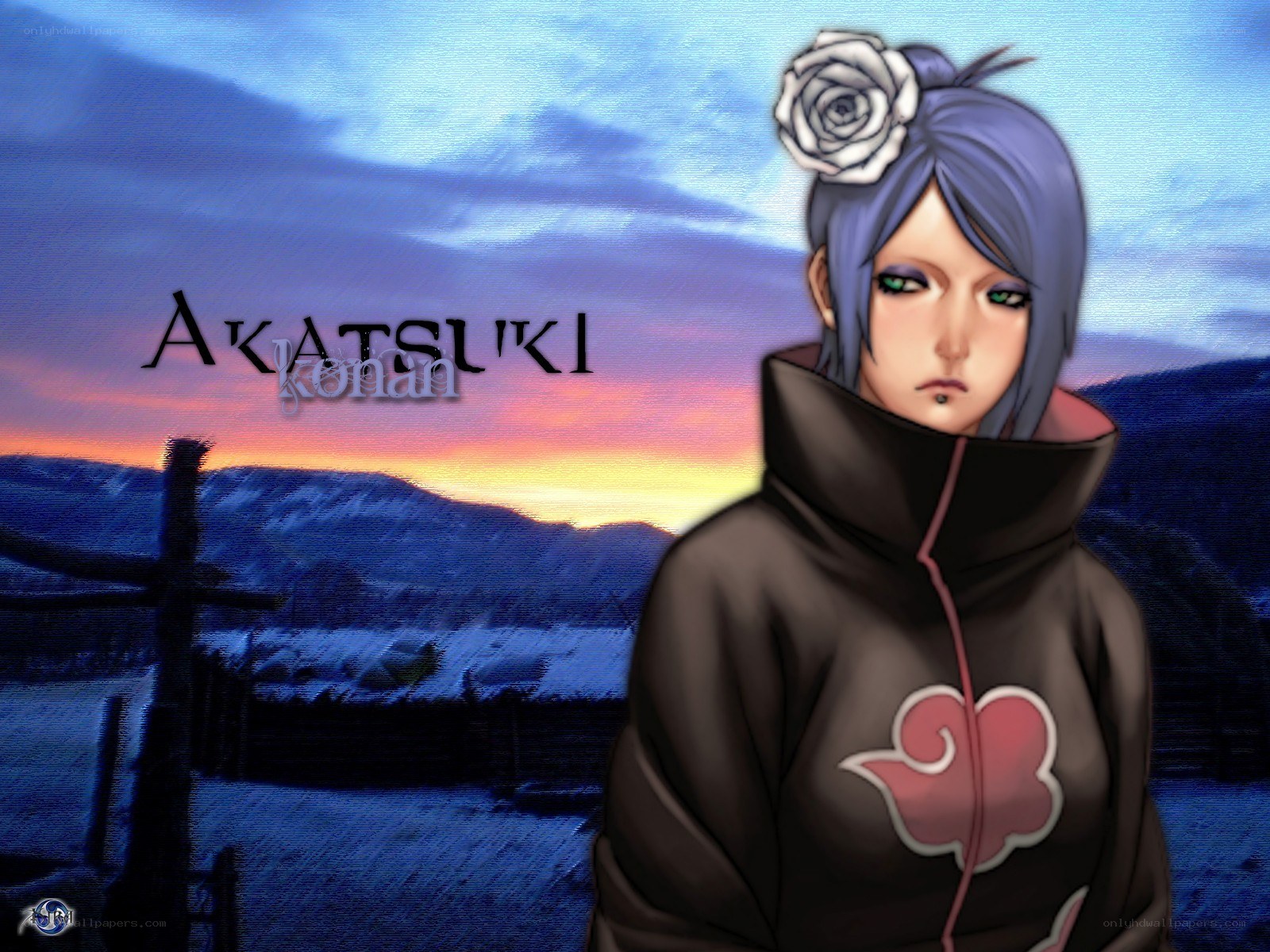 Akatsuki Konan character art